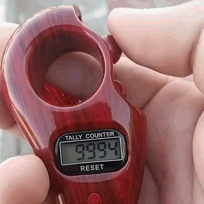 Digital Jap Counter